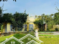 Cần Chuyển Nhượng Khuôn Viên Nhà Vườn Cực Đẹp Bám Mặt Đường Liên Xã Cư Yên Lương Sơn Hoà Bình