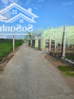Bán Đất Tại Xã Phước Hậu Cần Giuộc Long An 1,25 Tỷ 125 M2 5X25 Hàng Hiếm Uy Tín Đường Bê Tông 5M