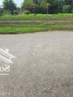Bán Đất Tại Xã Phước Hậu Cần Giuộc Long An 1,25 Tỷ 125 M2 5X25 Hàng Hiếm Uy Tín Đường Bê Tông 5M