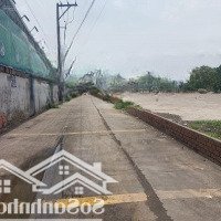 Bán Đất Thổ Cư Ngay Cổng Trường Thcs Qui Đức, Bình Chánh, Hồ Chí Minh 2,6 Tỷ, 146M2 5X25
