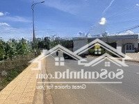 Bán Hơn 9000M2 Mặt Tiền Đường Nhựa Chínhdiện Tích724 - Huyện Đức Trọng