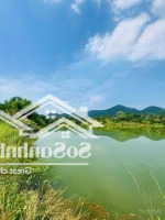 Hòn Đảo Nhỏ Bám Hồ Quy Tụ Đủ Yếu Tố Nghỉ Dưỡng