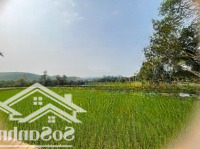 Hòn Đảo Nhỏ Bám Hồ Quy Tụ Đủ Yếu Tố Nghỉ Dưỡng