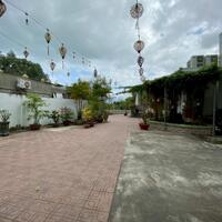 Cho thuê mặt bằng kinh doanh 1200 m2 đường Nguyễn Trãi