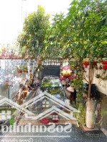 Biệt Thự Q7 - Khu Kiều Đàm - 125M2, Ngang 5,5 X 25M - 3 Lầu - Nội Thất Gỗ - Giá Bán 22 Tỷ