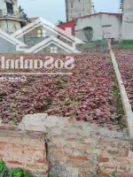 Bán Đất Đt 427B, 58.1M2, 2,72 Tỷ, Chính Chủ Bao Đẹp, Thường Tín, Hà Nội