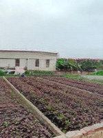 Bán Đất Đt 427B, 58.1M2, 2,72 Tỷ, Chính Chủ Bao Đẹp, Thường Tín, Hà Nội