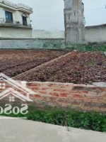 Bán Đất Đt 427B, 58.1M2, 2,72 Tỷ, Chính Chủ Bao Đẹp, Thường Tín, Hà Nội