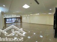 Bán Tòa Phố Dịch Vọng Hậu, Trần Thái Tông, Duy Tân. Diện Tích 168M2 X 8 Tầng 1 Hầm.