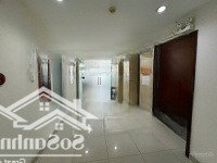 Bán Building Giảm Mạnh 18 Tỷ Về 79 Tỷ, 1 Hầm + 8 Tầng 8 X20Mmặt Tiềnphan Xích Long Cho Thuê 320 Triệu/Th