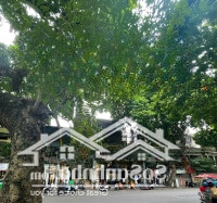 Bán Nhà Mặt Phố View Hồ Gươm 6M2,Diện Tích45M, Có Hội Đầu Tư Tốt