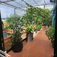 Bán Tòa Nhà 8 Tầng Mặt Đường Lê Chân, Đang Cho Thuê Thu Nhập 180 Triệu/Tháng, Ngang 9M, Có Hồ Bơi