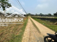 Bán Đất Chính Chủ Tại Thông Xuân Linh, Xax Thuỷ Xuân Tiên