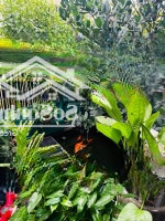 Siêu Phẩm! Siêu Hiếm! Biệt Thự Tuyệt Đẹp-Sang Trọng-Đẳng Cấp 120M2, Ngang 8M, Giáp Q1, Chỉ 20 Tỷ