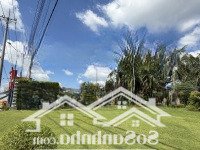 Lô Đất Vàng! Trục Chính 25M Thông Kcn Đối Diện Chợ Trường Giá Giảm 70% Chỉ Còn 595 Triệu/Lo Lh:09857618