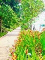 Cần Bán Nhà Phố Lakeview City Giá Tốt Nhất Thị Trường 15,5 Tỷ