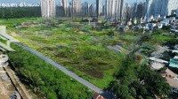 Bán Đất Nền Dự Án Tại Khu Dân Cư Thái Sơn 1, Nguyễn Hữu Thọ, 16,5 Tỷ, 250 M2 Giá Tốt