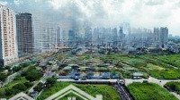 Bán Đất Nền Dự Án Tại Khu Dân Cư Thái Sơn 1, Nguyễn Hữu Thọ, 16,5 Tỷ, 250 M2 Giá Tốt