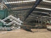 Cho Thuê Xưởng 5000M2. Sx Ohaan Bón . Giá Tốt. Bàn Giao Ngay