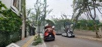 Bán Biệt Thự Kđt Mễ Trì Hạ, 200M2 Mặt Tiền 12M, View Vườn Hoa Tuyệt Đẹp