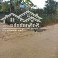 Mở Bán Lô Đất Nghỉ Dưỡng Đẹp Tại Yên Trung, Thạch Thất, Hà Nội