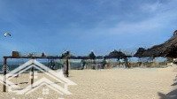 Bán 518M2 Thổ Cư Mặt Tiền Nguyễn Đình Chiểu, Hàm Tiến Thổ Cư 100%