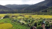 Bán Lô Đất 1467M2 - Ngay Cạnh Hồ Thanh Cao - Phúc Yên - Vĩnh Phúc - Giá Hơn 11 Triệu/M2