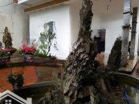 Bán Nhà Riêng Cách Đường Kim Ngưu 150M, Hai Bà Trưng, Hà Nội, 145 Triệu/M2, 193 M2