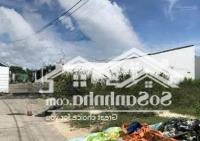 Cần Bán 2 Lô Đất Nền Full Thổ Cư Liền Kề Nhau, Khu Bàn Cờ Phường Tân Bình