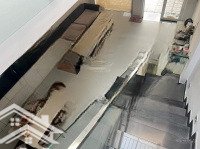 Cho Thuê Nhà Hiệp Thành Gần Bệnh Viện Tỉnh Bình Dương 3Pn- 2 Vệ Sinhđầy Đủ Nội Thất
