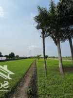 1000M2 Đất Thổ Cư Gần Đường Bình Mỹ Giá Bán 6 Triệu/M2