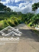 Cần Bán Hơn 800M2 Đất Thổ Cư Mặt Tiền Nhựa Tại Phường Hắc Dịch, Tp Phú Mỹ