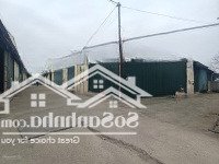 Chính Chủ Cho Thuê Cụm Kho Xưởng Đường Cầu Bươu, Tân Triều, Thanh Trì, 500M Xe Công Vào. 0963596146