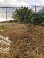 Bán Đất Full Thổ Cư Gần Kcn Tân Kim, Long An. Shr 240M2 - 500 Triệu Bán Gấp