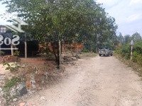 Đất Ngang 8X33 Giá Bán 500 Triệu Ở 1 Xẹt Đường Dt789 Trảng Bàng, Tây Ninh
