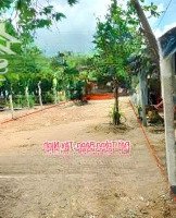Đất Ngang 8X33 Giá Bán 500 Triệu Ở 1 Xẹt Đường Dt789 Trảng Bàng, Tây Ninh