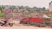 Chính Chủ Bán Lô Góc 62.9M2 Đất Trục Chính Thôn Hoàng Xá - Lại Thượng - Thạch Thất. Đường To Ôtô Đi