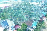 Bán Đất Tại Tân Yên, Xã Trường Yên, Chương Mỹ, Hà Nội 110M2 Giá Đầu Tư 1,87 Tỷ