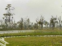 Chính Chủ Cần Bán 2 Lô Vinaconex3 Phổ Yên Thái Nguyên