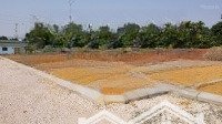 Đất Xuân Diệm - Hòa Tiến -Diện Tích110M² - 640 Triệu - Sau Lưng Chợ Lệ Trạch