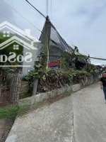 Đất Câu Trung, Quang Hưng, An Lão, Hải Phòng, Ngang 8M Diện Tích 100M2