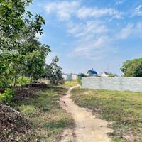 Cần chuyển nhượng 1246m2 xã Tân Bình - TX LaGi  có sẵn thổ cư đầu tư lâu dài