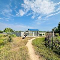 Cần chuyển nhượng 1246m2 xã Tân Bình - TX LaGi  có sẵn thổ cư đầu tư lâu dài