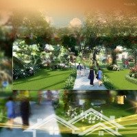 Mua Shophouse 5 Tầng Được Tặng Ngay Cây Vàng. Lại Nằm Trung Tâm Thành Phố Bắc Giang