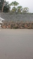 Chính Chủ Bán Đất Trục Chính Yên Thái - Đông Yên Kinh Doanh Đẹp