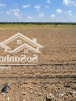 Còn 2 Lô Giá Ngộp. Tại Xã Long Hưng, Thành Phố Gò Công,Tiền Giang,435 Triệu, 150M2. Shr, Full Thổ.