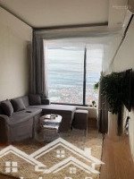 Vẫn Cho Thuê Căn Hộ Full Đồ Giá Bán 10, 5 Triệu Chung Cư Thăng Long Garden, 250 Minh Khai, Mtg