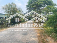 Mặt Tiền Nhựa Cây Me 5X40M Dân Cư Đông, Chỉ 180 Triệu/M