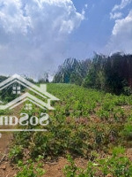 Chính Chủ Bán Đất Tại Đường Nơ Trang Long, Phường 13, Bình Thạnh, Hcm, 6,950 Tỷ, 50M2