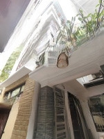 Bán Nhà Phố Hoàng Hoa Thám - Ba Đình - 50M2 Lô Góc 2 Mặt Thoáng Vĩnh Viễn Gần Ô Tô Cách Mặt Phố 40M